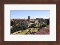Look from Palatine Hill Francesca Romana, Arch of Titus and Colosseum, Rome, Italy Fine Art Print