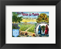 Red table wine from Rishon de Zion Palestine Framed Print