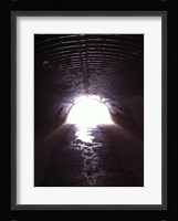 D&R Canal Towpath Tunnel Fine Art Print