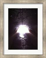 D&R Canal Towpath Tunnel Fine Art Print