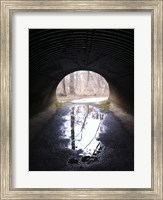 D&R Canal Towpath Tunnel photo Fine Art Print