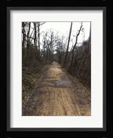 The Path Ahead Fine Art Print