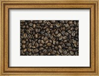 Close-up of coffee beans Fine Art Print