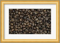 Close-up of coffee beans Fine Art Print