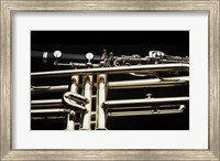 Close - up of a Clarinet and a Trumpet Fine Art Print