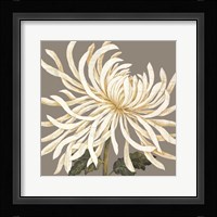 Glorious Whites I Fine Art Print