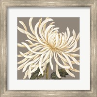 Glorious Whites I Fine Art Print