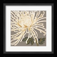 Glorious Whites II Framed Print