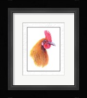 Rooster Insets I Fine Art Print