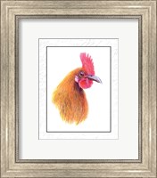 Rooster Insets I Fine Art Print