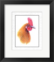 Rooster Insets I Fine Art Print