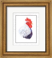 Rooster Insets II Fine Art Print
