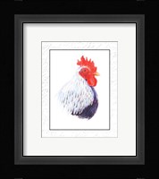 Rooster Insets II Fine Art Print