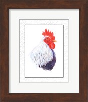 Rooster Insets II Fine Art Print