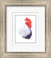 Rooster Insets II Fine Art Print