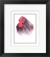 Rooster Insets III Fine Art Print