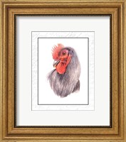 Rooster Insets IV Fine Art Print