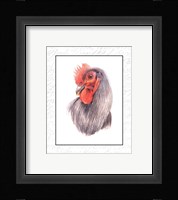 Rooster Insets IV Fine Art Print