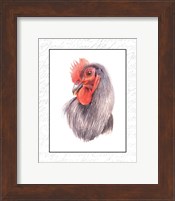 Rooster Insets IV Fine Art Print