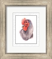 Rooster Insets IV Fine Art Print