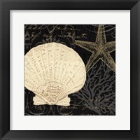 Coastal Moonlight II Fine Art Print