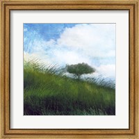 Bright Field IV Fine Art Print