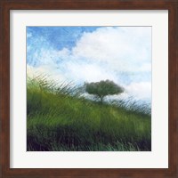 Bright Field IV Fine Art Print