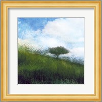 Bright Field IV Fine Art Print