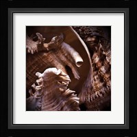 Macro Shells IV Fine Art Print