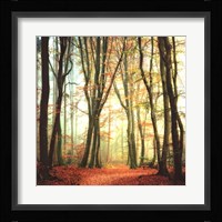 Colorfall II Fine Art Print