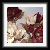 Magnolia Fine Art Print