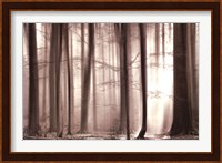 The Cloaking Woods Fine Art Print