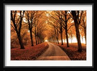 Well Traveled Fine Art Print