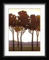 Arboreal Grove I Fine Art Print