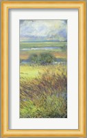Shimmering Marsh II Fine Art Print