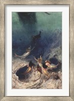 A Sailor's Delight, 1891 Fine Art Print