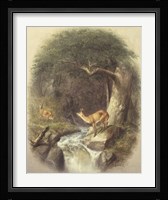 A Cautious Crossing Fine Art Print