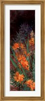 Wild Lily Garden I Fine Art Print