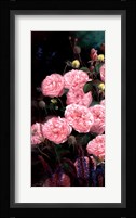 Rose Garden I Fine Art Print