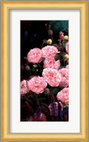 Rose Garden I Fine Art Print