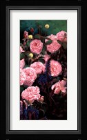 Rose Garden II Fine Art Print