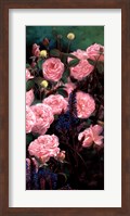 Rose Garden II Fine Art Print