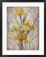 Golden Irises I Framed Print