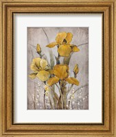 Golden Irises II Fine Art Print