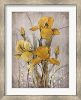 Golden Irises II Fine Art Print
