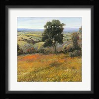 Field In Summer Fine Art Print