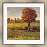 Field in Fall Fine Art Print