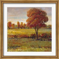 Field in Fall Fine Art Print
