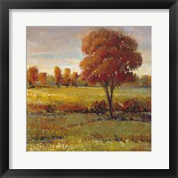 Field in Fall Fine Art Print