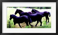 Guilford Horses II Framed Print
